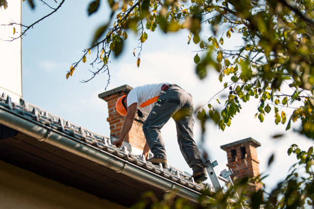 Best Flat Roof Repair Services  in South Congaree, SC